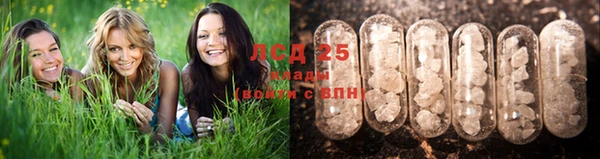 СК Арсеньев