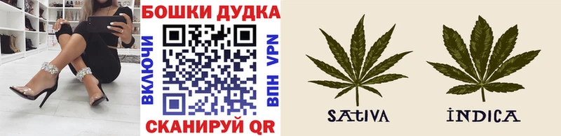Шишки марихуана SATIVA & INDICA Опочка